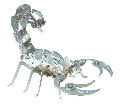 OWI-352 SAMURAI SCORPION (THIS ITEM IS ONLY SOLD WHOLESALE IN CASE PACKS OF 70)