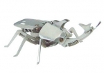 OWI-353 RHINO BEETLE